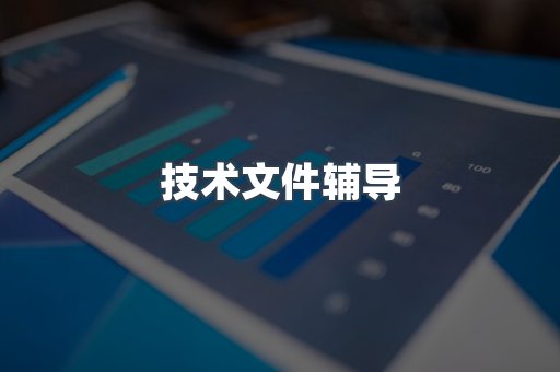 技术文件辅导